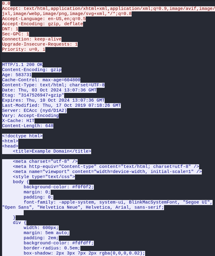 Deep Dive into Network Monitoring_28.png